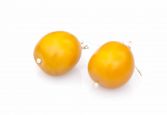 Bolita del Sol